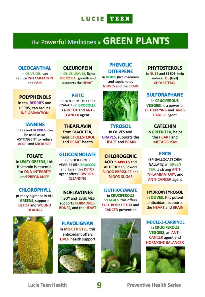 Eating Green Plants Eating Green Plants