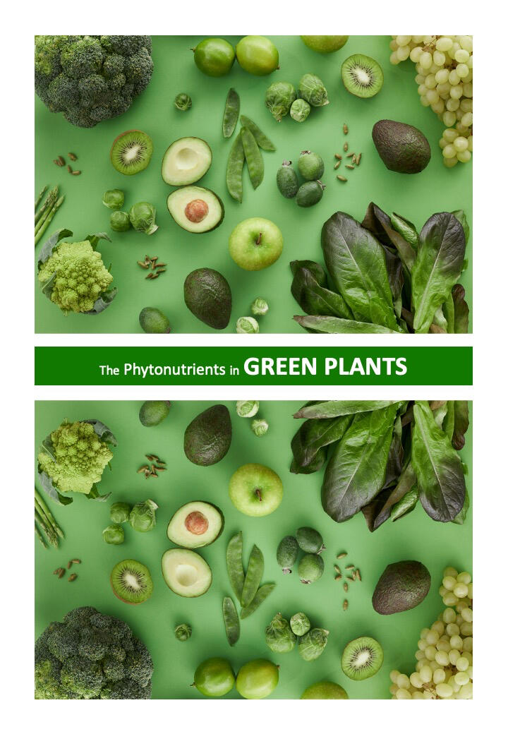 Eating Green Plants Eating Green Plants